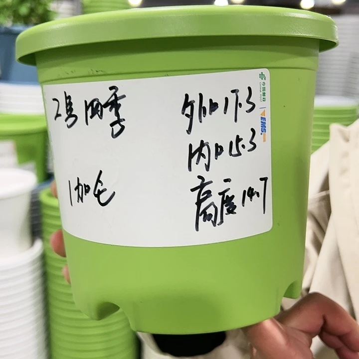 特价2号四季口17高14白色10个无托