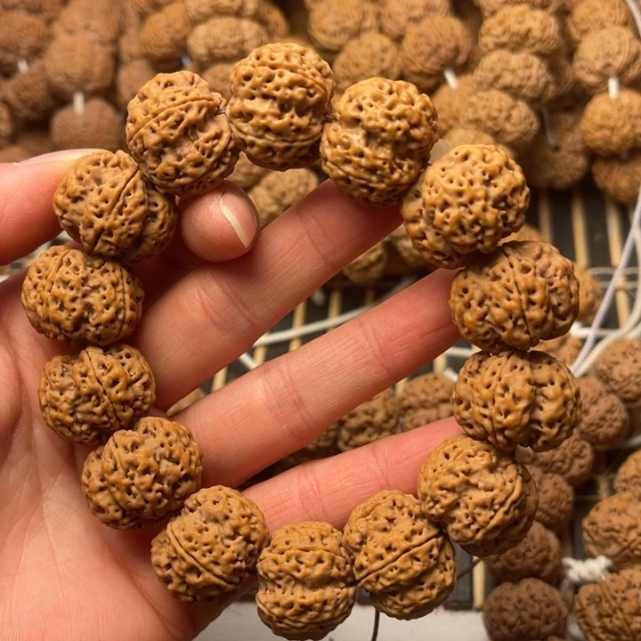 菩提尼泊尔大金刚爆肉梅花22