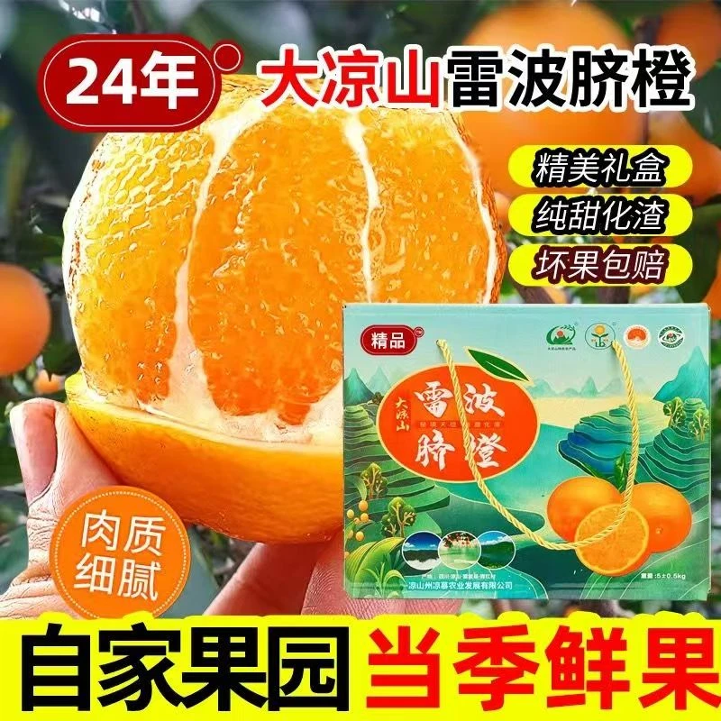 【雷波脐橙】大凉山雷波县雷波脐橙鲜果上市5斤装