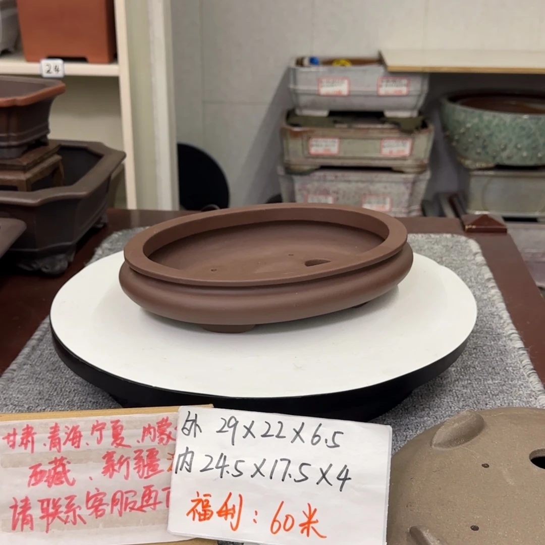 盆友居紫砂花盆直播间