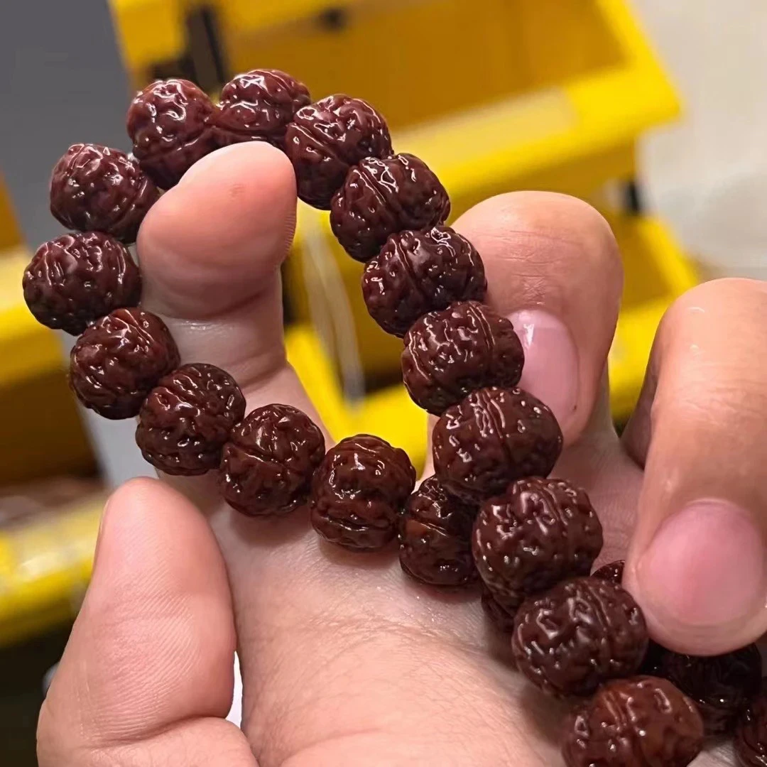 S级勿里达老树王小金刚菩提单圈（水袋发货）