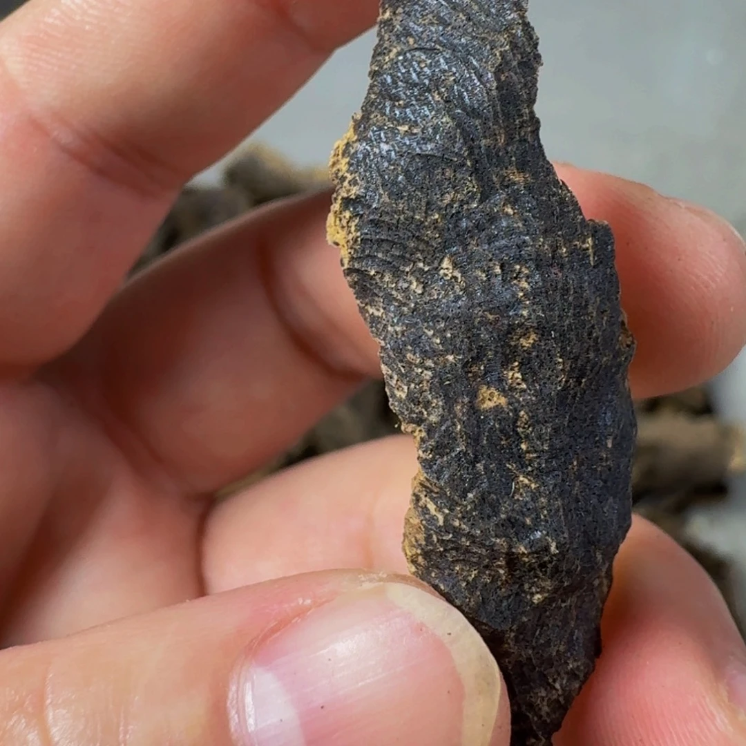 沉香沉香碎屑海南纯化鸡母虫漏
