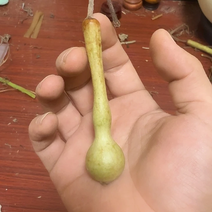 h***ㅤahfhqrhqthhsjtwngwtbwt