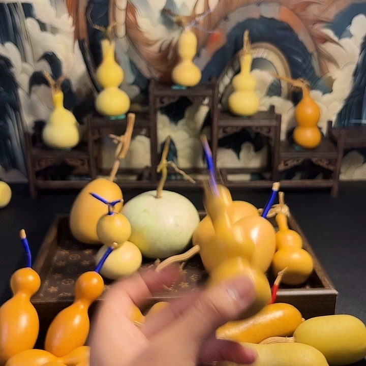 我***懂大叶紫檀（黑酸枝木类）