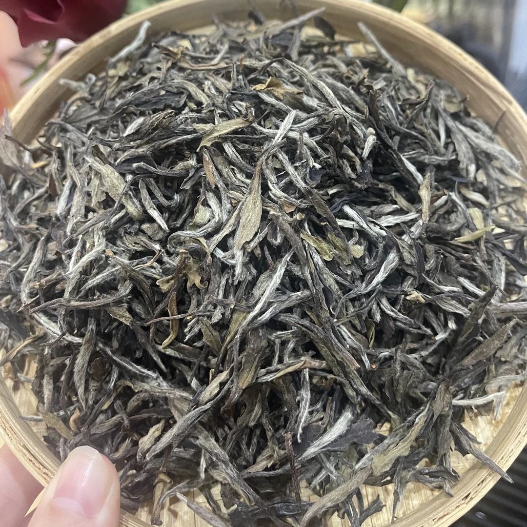 云南深山秘境哀牢山茶区古树普洱茶生茶散茶
