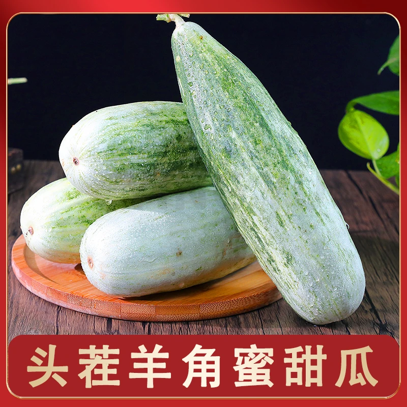 【产地直发】新鲜现摘头茬羊角蜜甜瓜3斤/4.5斤装皮薄脆甜
