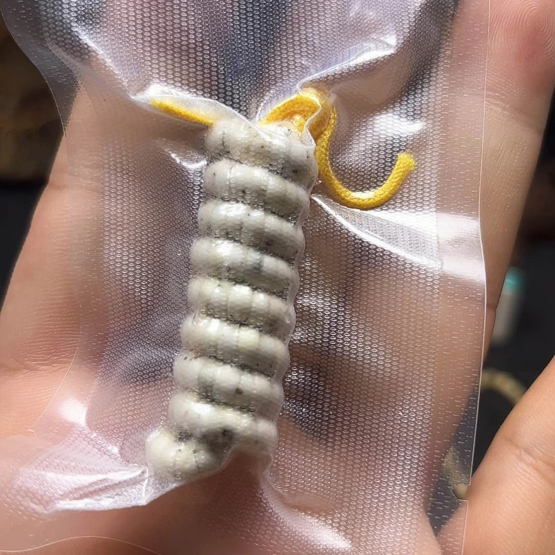 木质非金属数星星大肠卡5