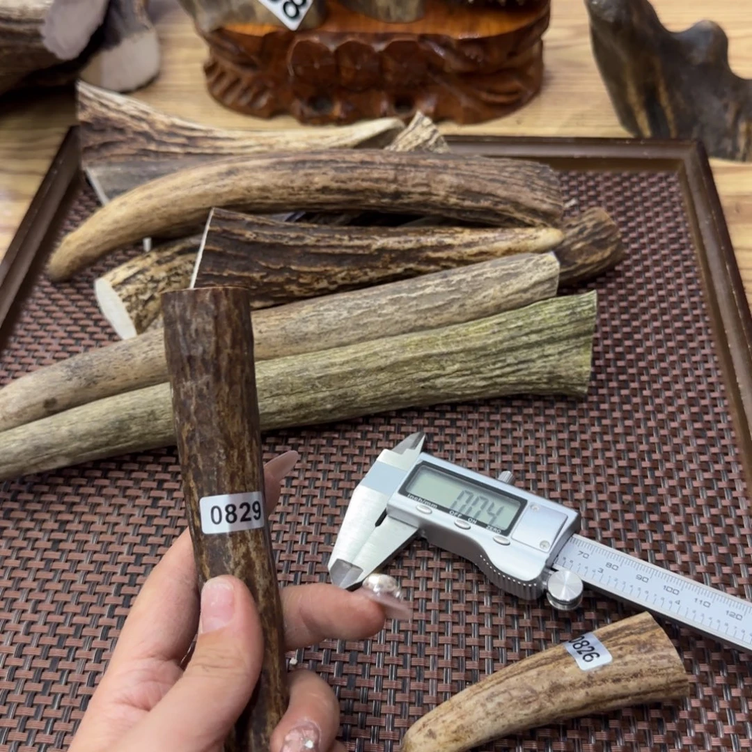 其他鹿骨0829脚尖