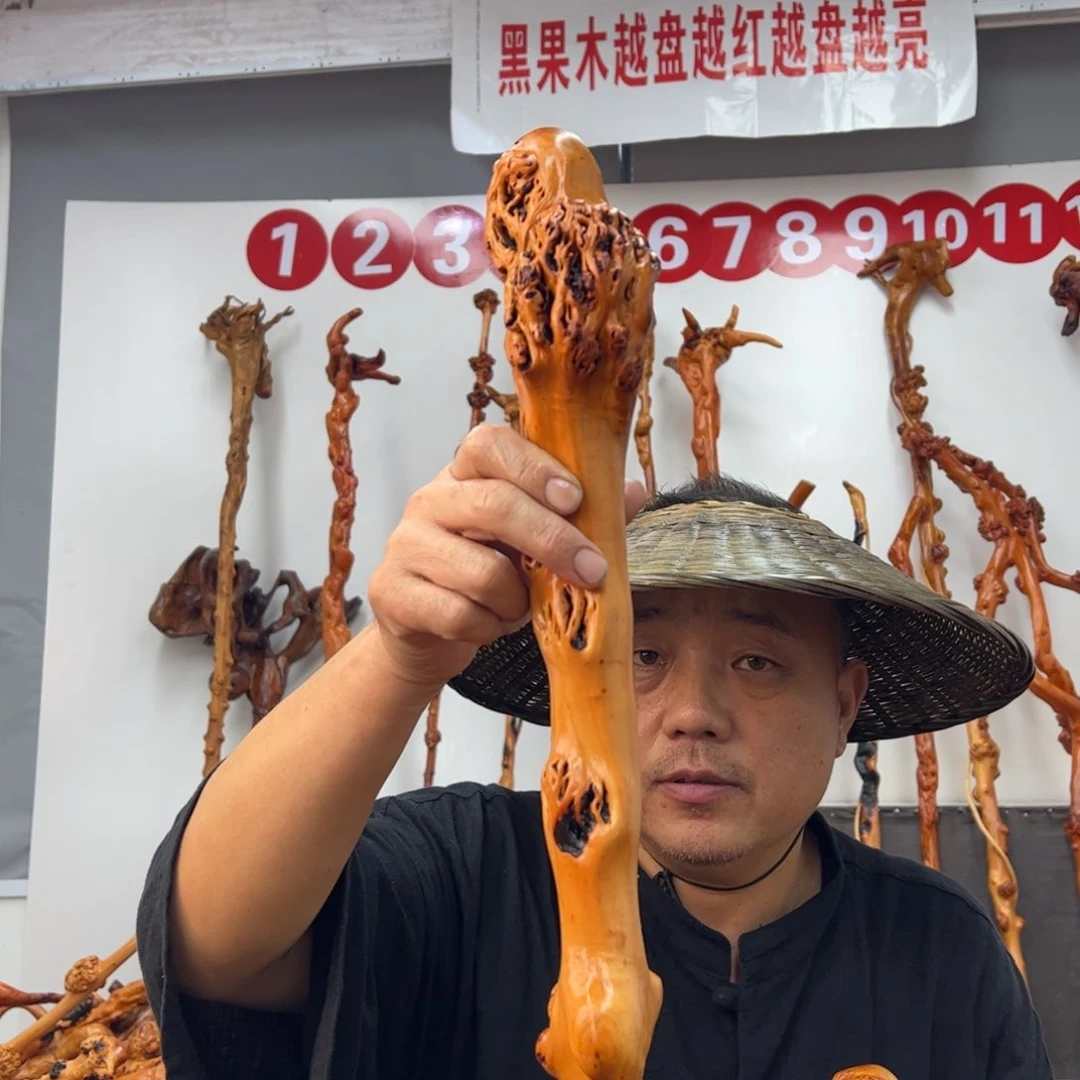 用***5黑果木其他黑果木924