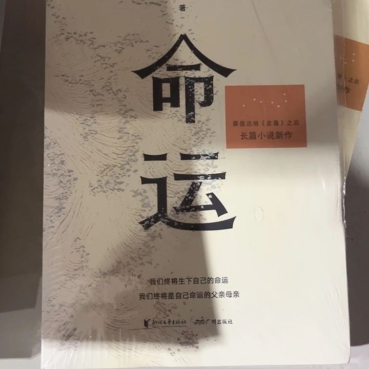 命运新书推荐全新