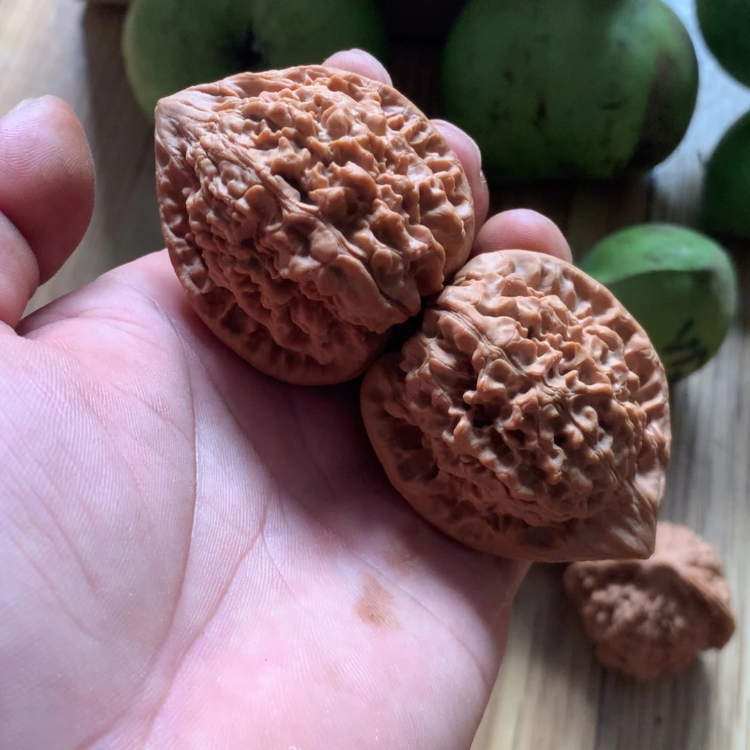 练手麒麟纹官帽一对