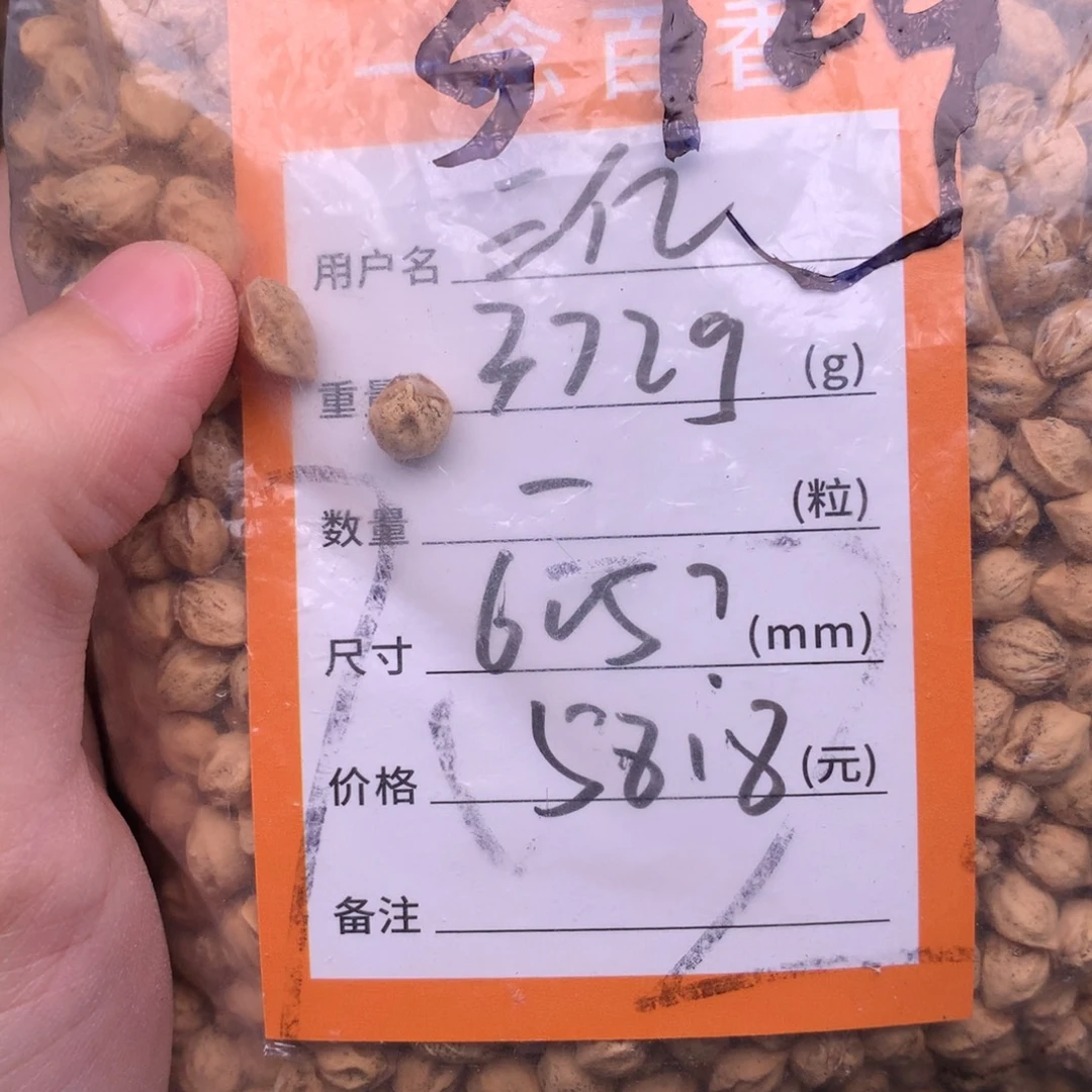 彭***亿柏香籽/百香籽吊坠