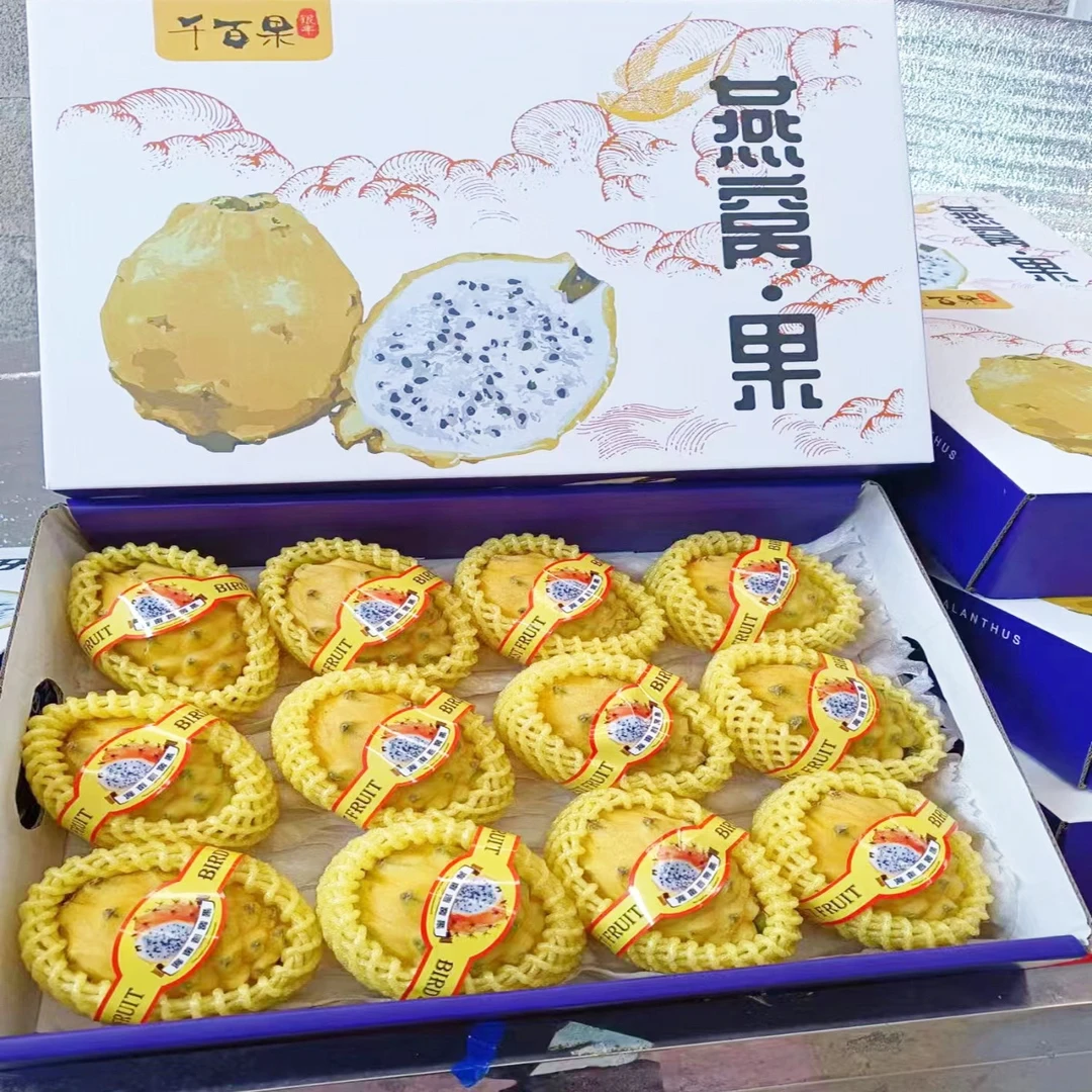 水果礼盒装热带黄燕窝果火龙果黄色麒麟果顺丰火龙果海南包邮新鲜