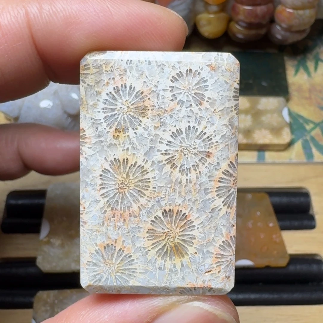 硅化玉天然有机玉石保真色未镶嵌