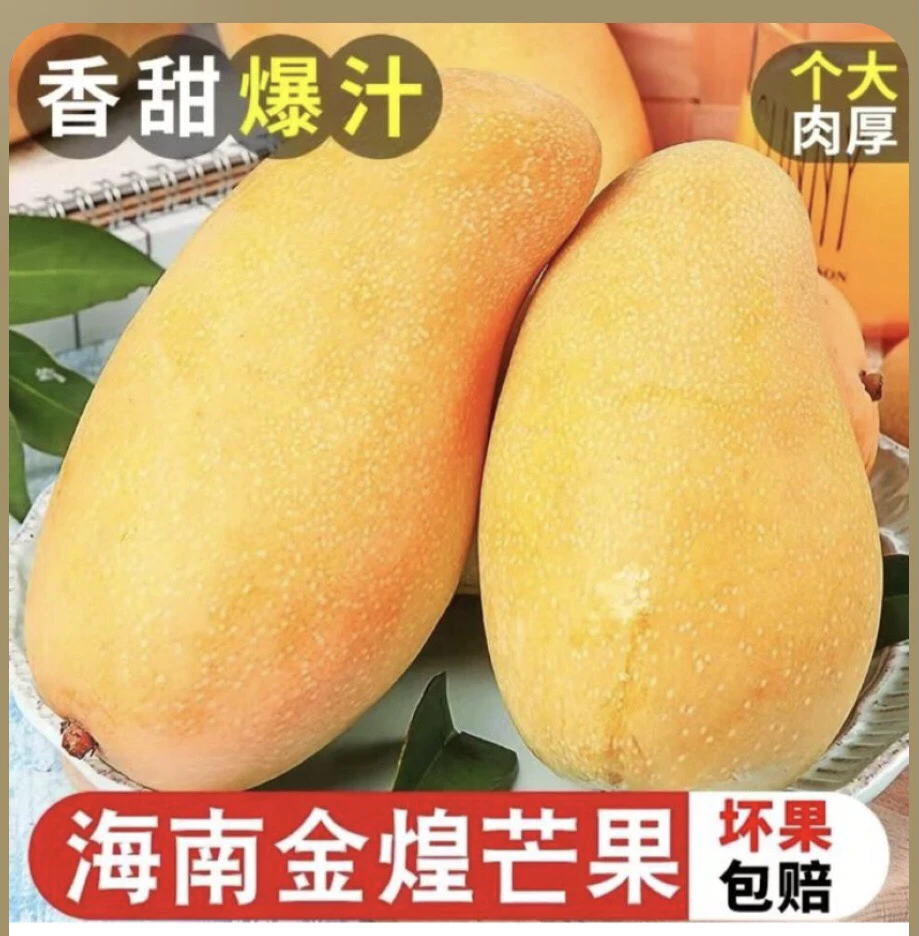 海南大青芒金煌芒新鲜现摘水果脆甜可口生熟两吃