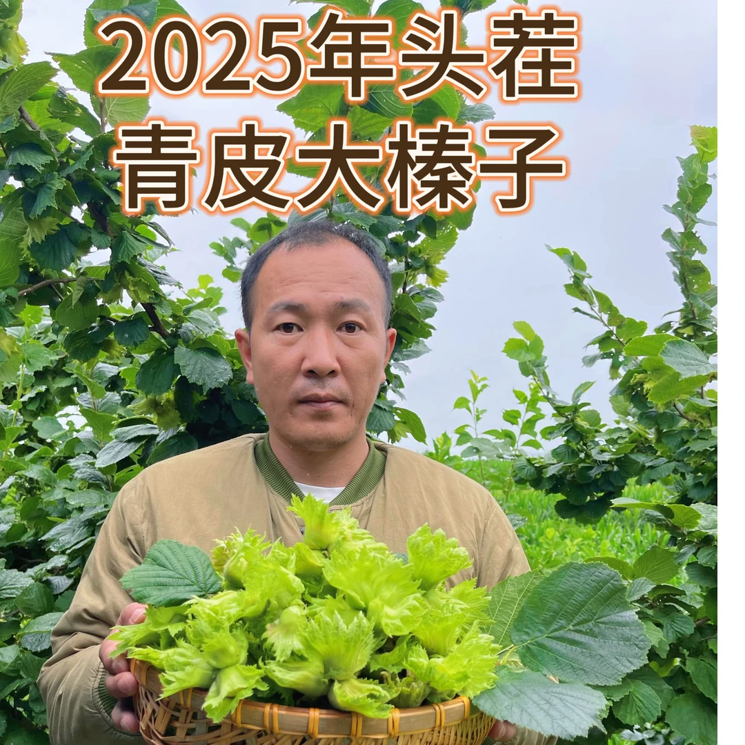 （1斤体验装）顺丰包邮2025年青皮大榛子水嫩多汁清香可口果园直发
