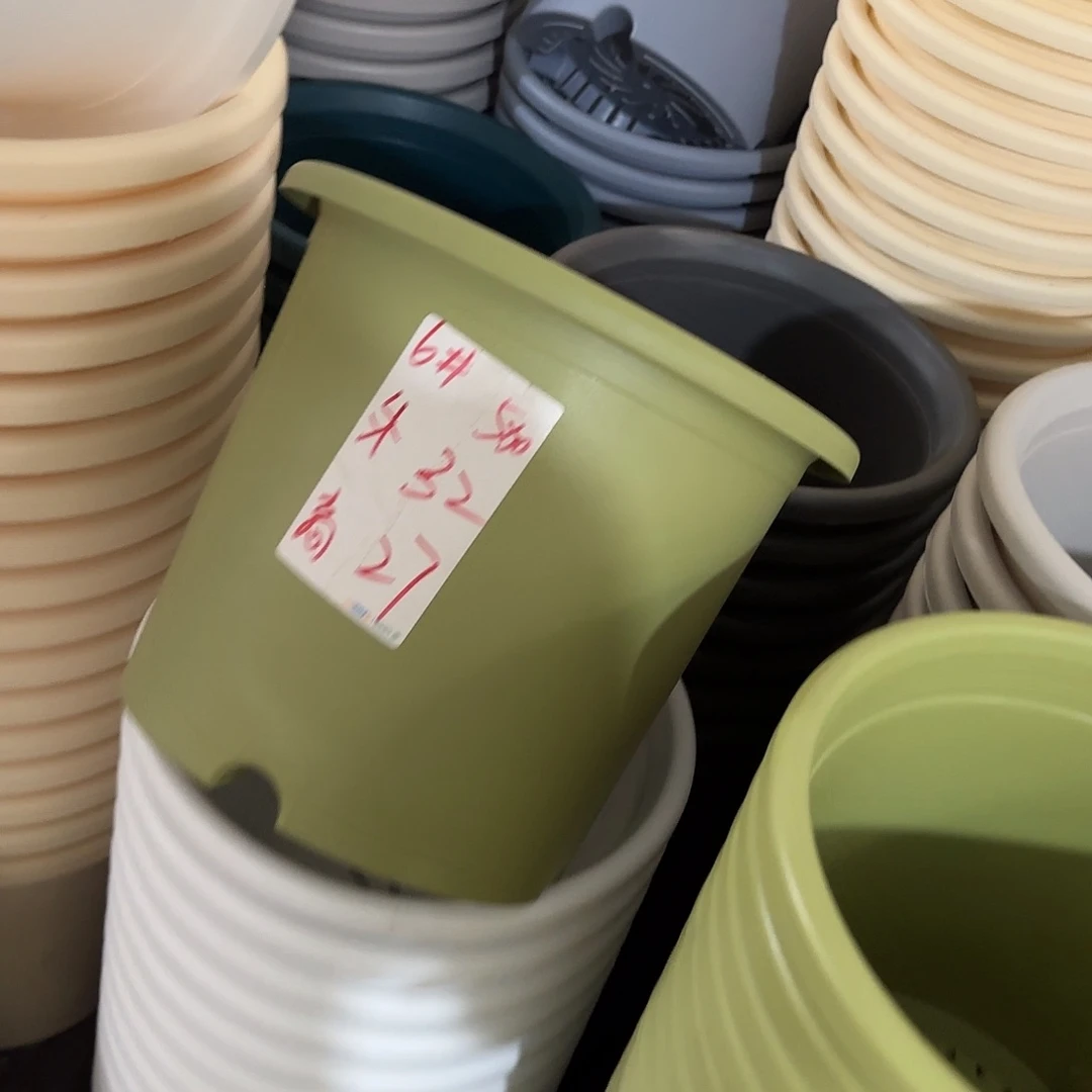 微瑕6号无托7个，白