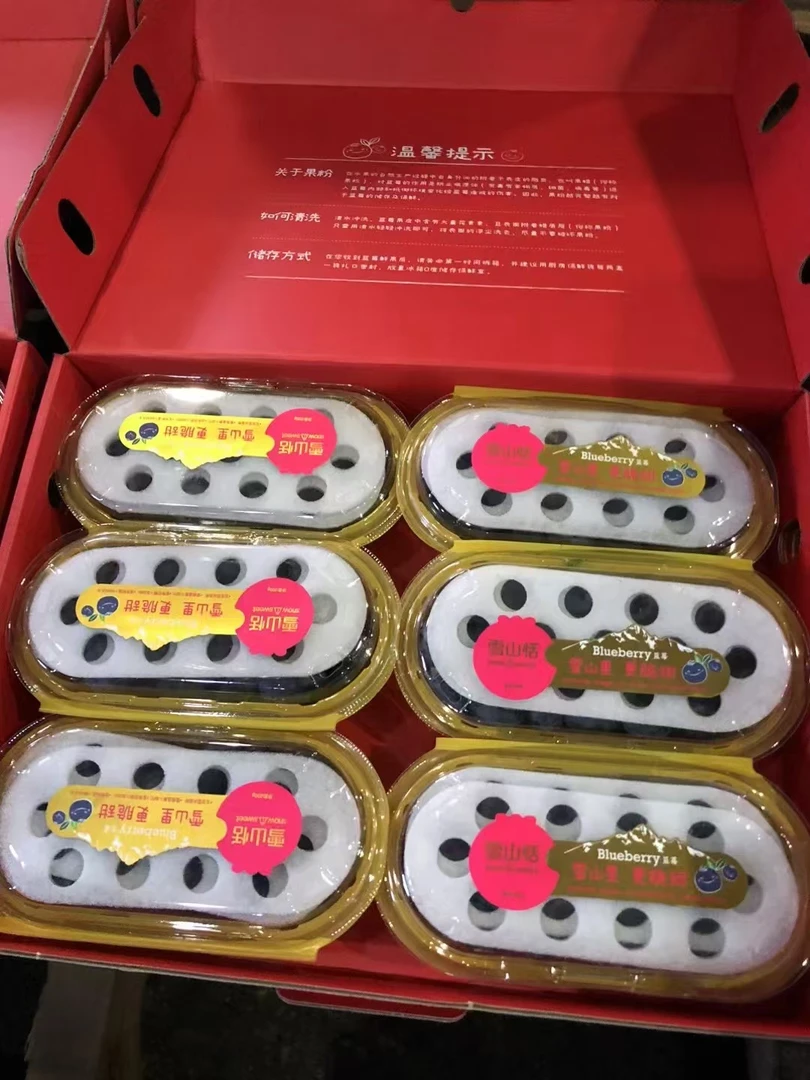 雪山恬云南L25高山香脆甜蓝莓大果