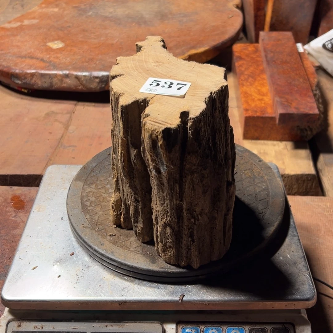 开***号大果紫檀（缅甸花梨）