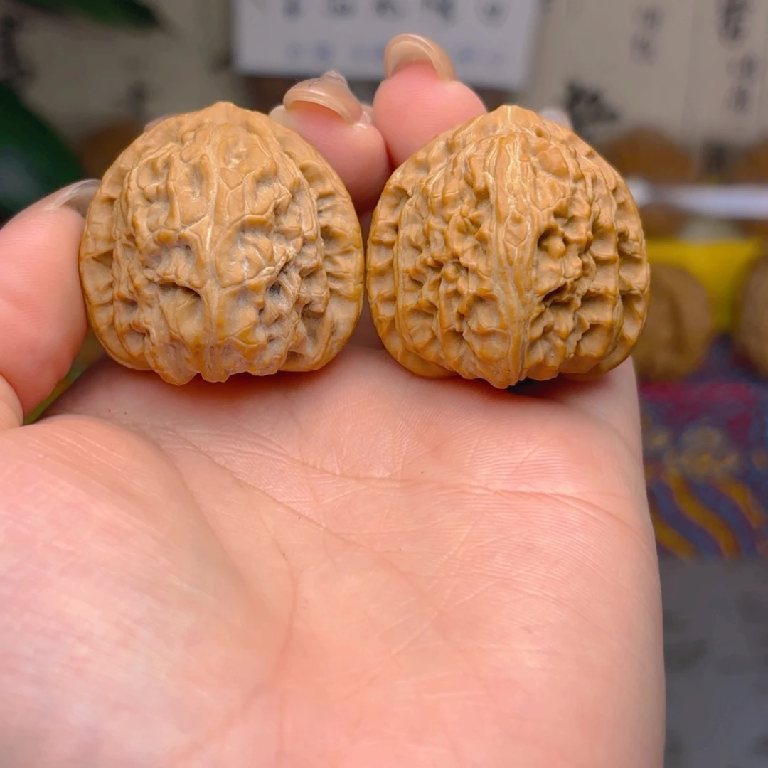白狮子头三十四点五尺