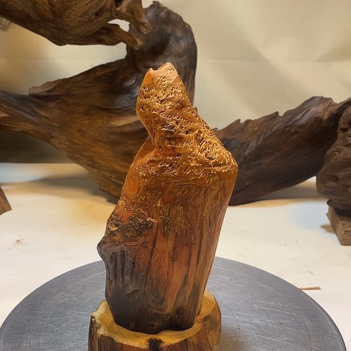 冯***底木直播间一物一拍