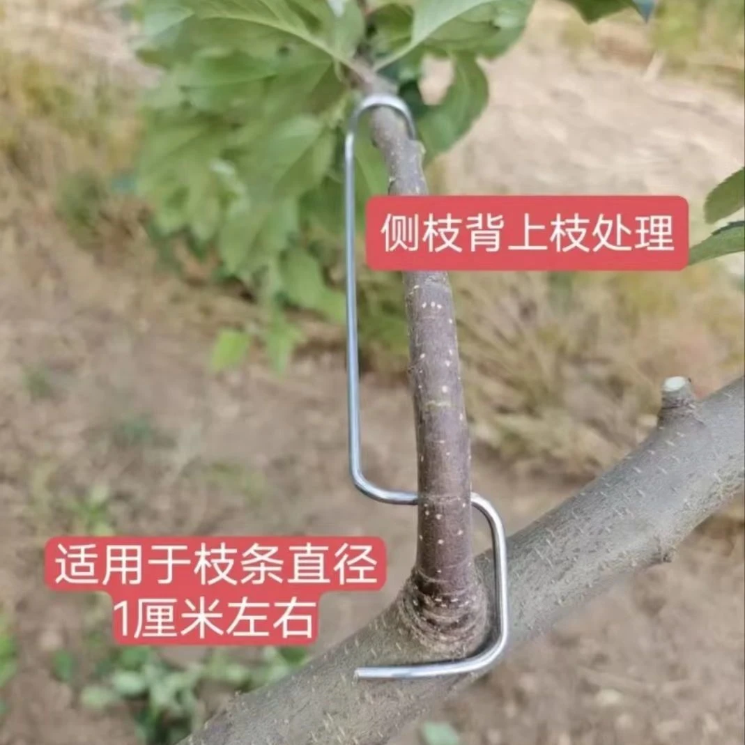 改进12型16型18型果树拉枝器定型器开角器别枝器园林带套管保护树