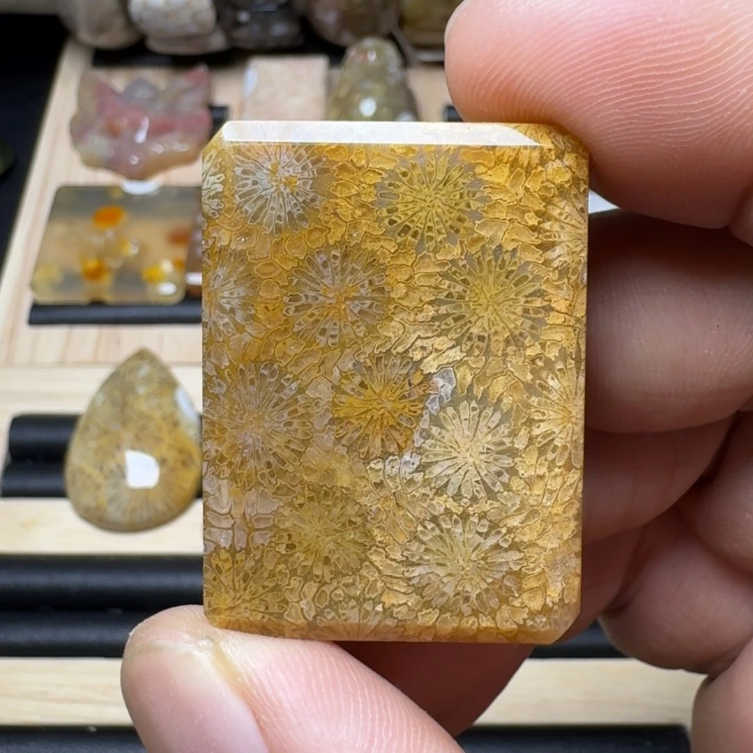 硅化玉未镶嵌纯天然色有机玉石保真色