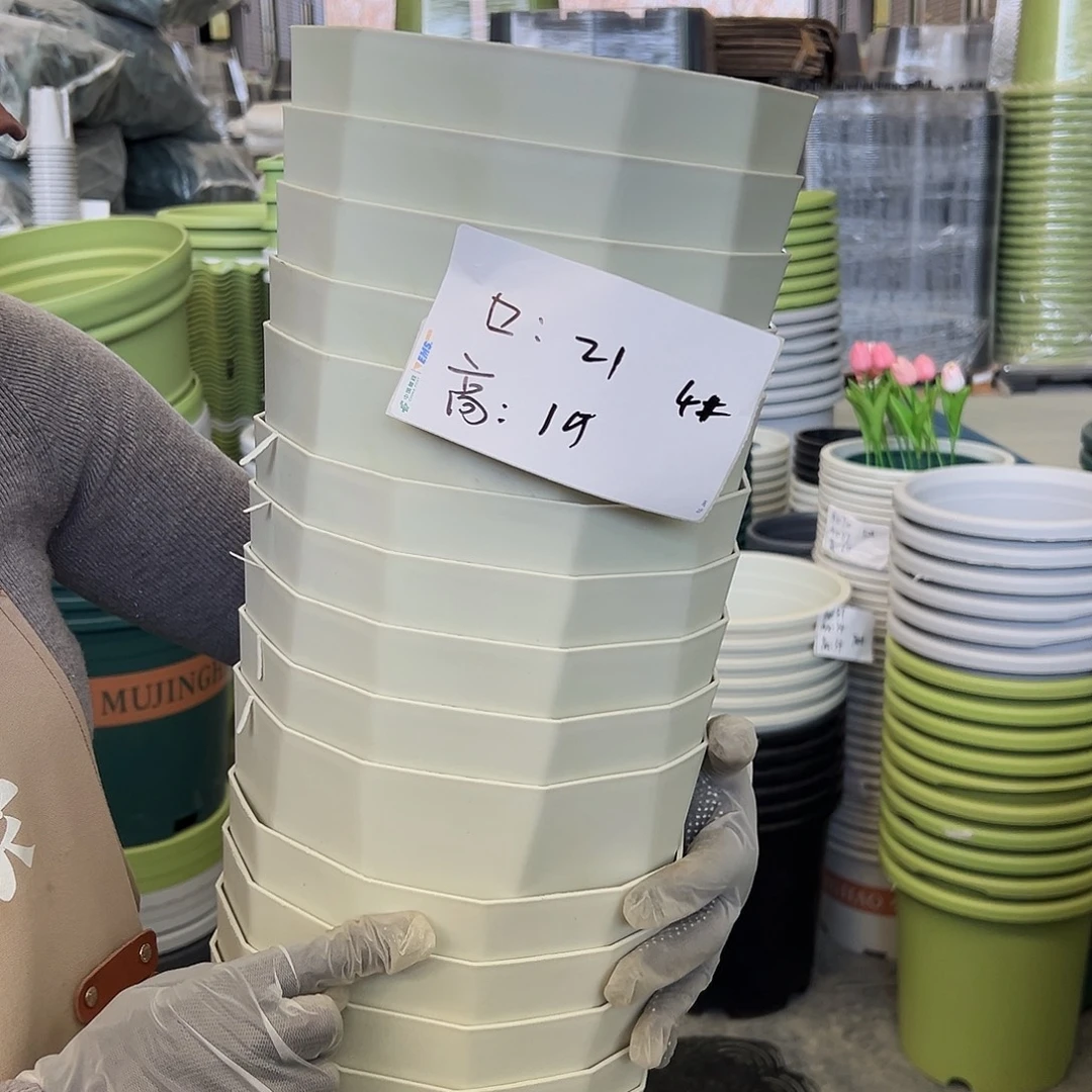 瑕疵雅典4#米白色6个无托