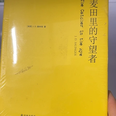 麦田里的守望者  8  闪购