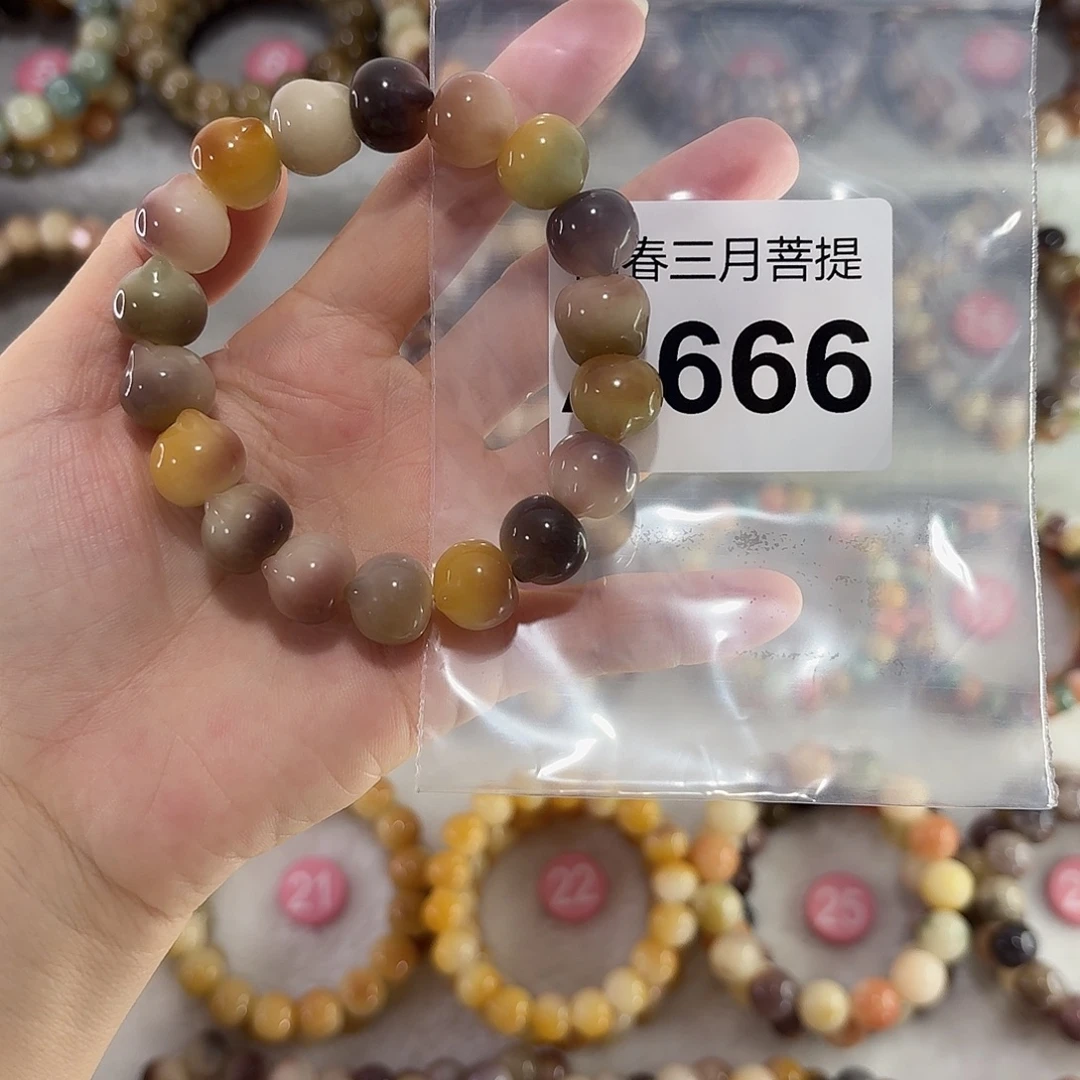老***儿吊坠菩提根/象牙果