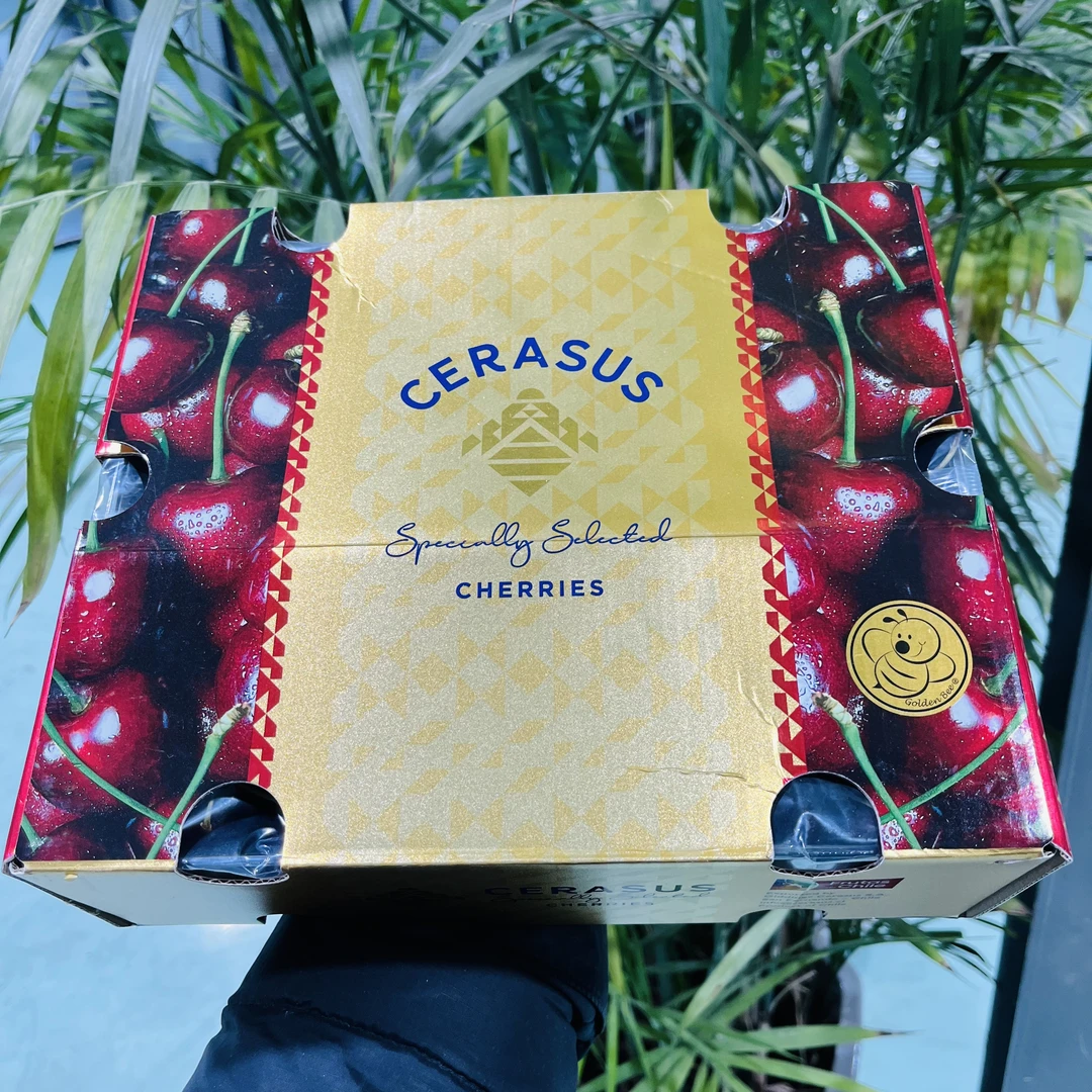 【3JD桑提娜】小蜜蜂智利空运车厘子原箱五斤装只发山西内附果径卡