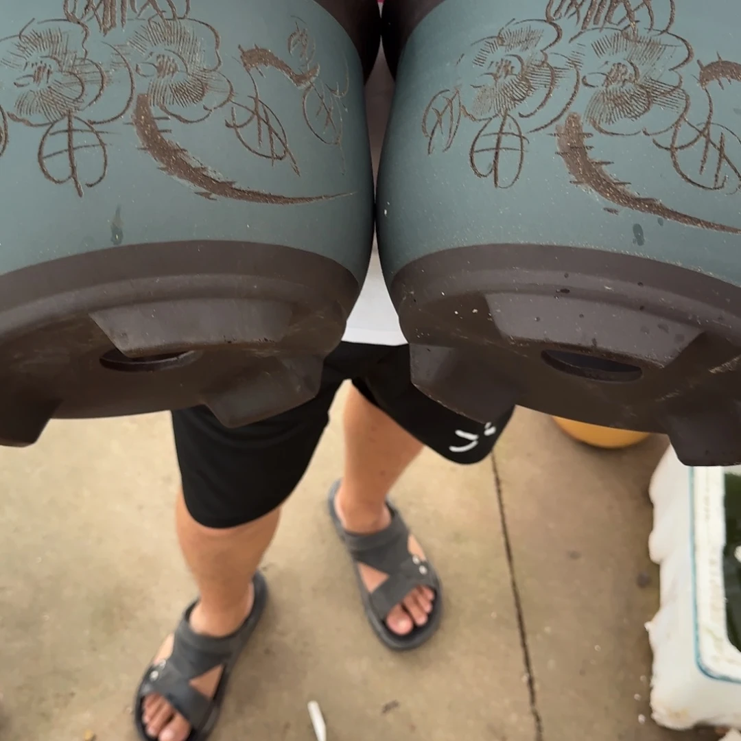 紫砂花盆口径23.14口径