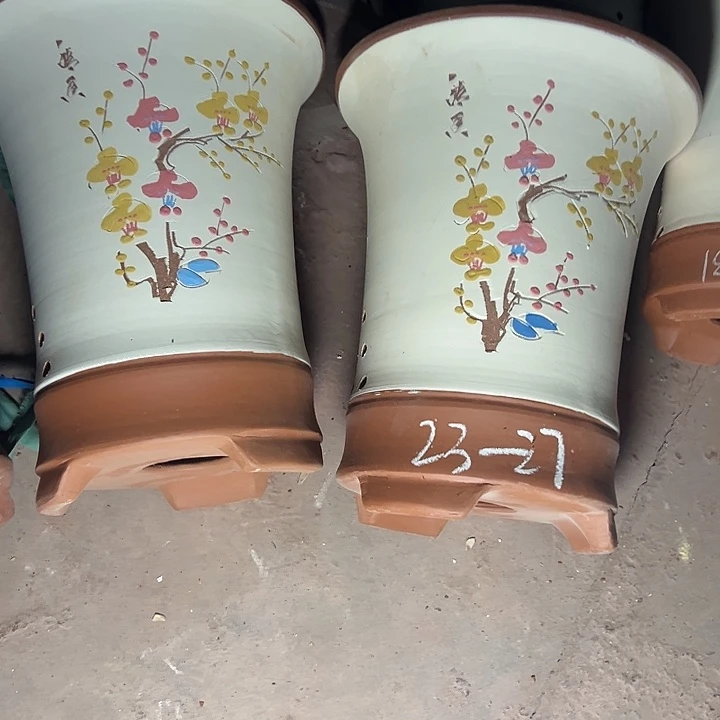 只是自作自受啧啧啧啧