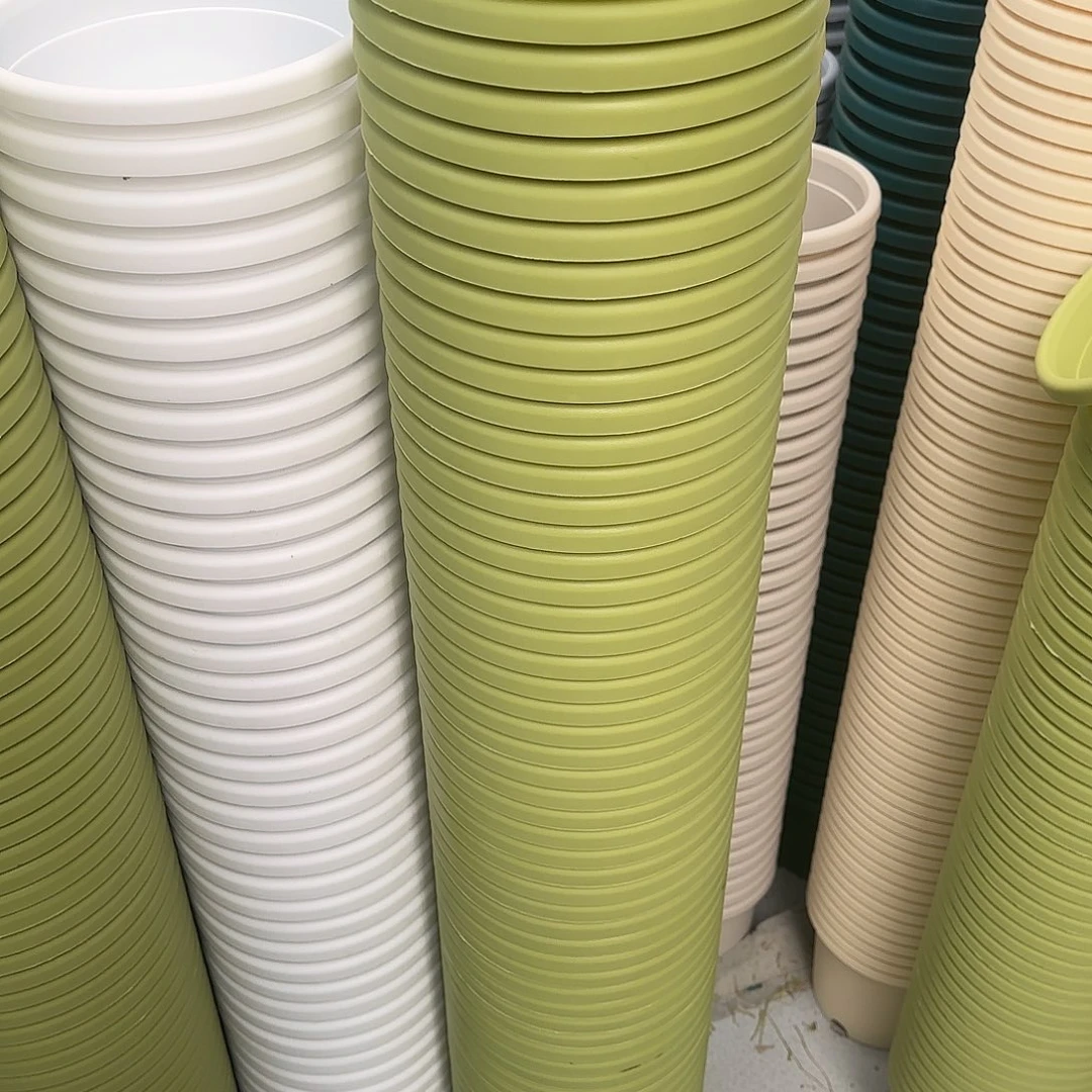 微瑕3号10个无托，果绿