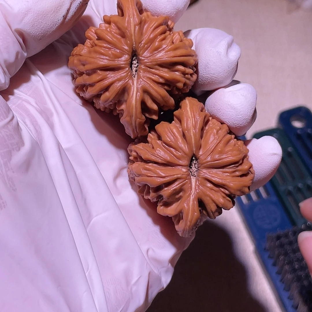 【闪购商品】40楼子