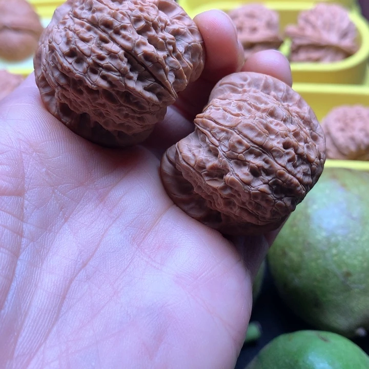 吊坠文玩核桃皮***卡全品血麒麟