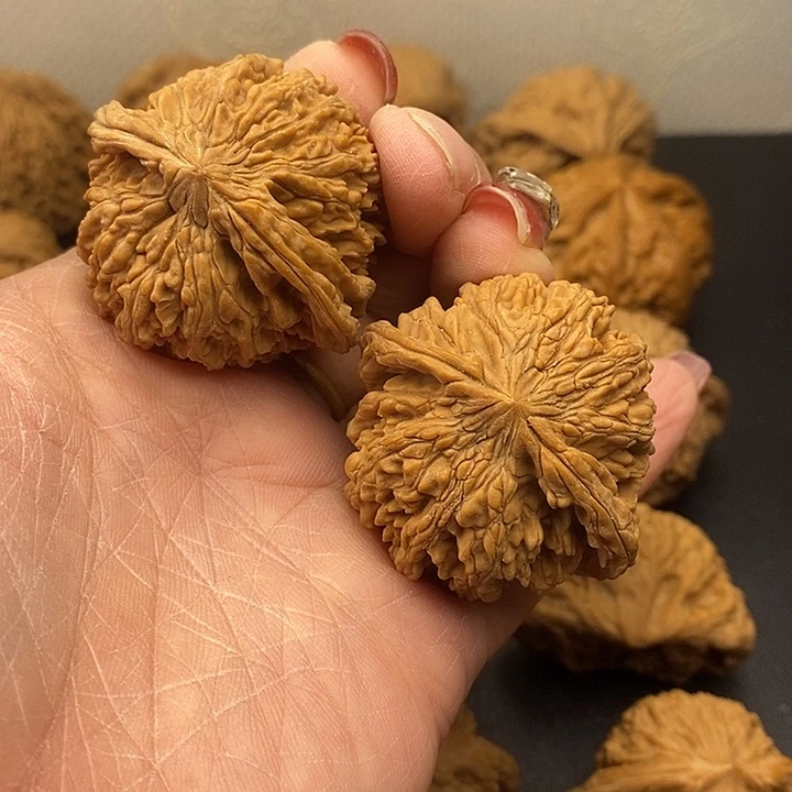 大叶紫檀（黑酸枝木类）和尚头42