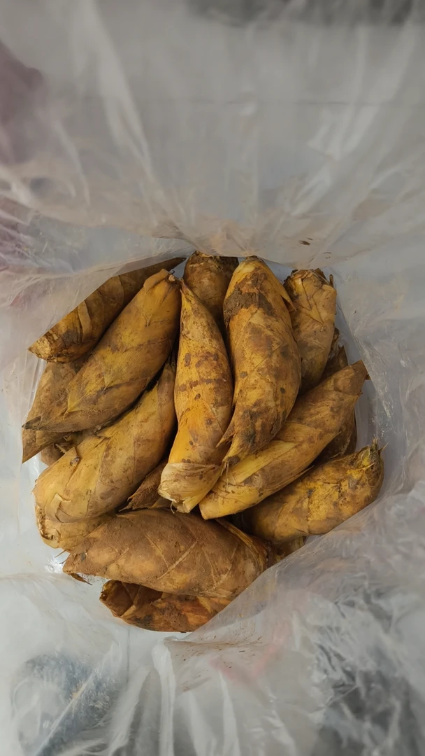 [皮厨大叔]高山黄泥黄芽笋嫩笋顺丰包邮