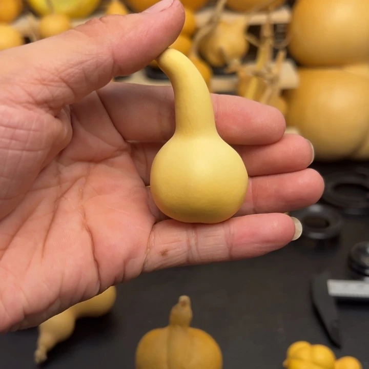 布*噜1256669555558999