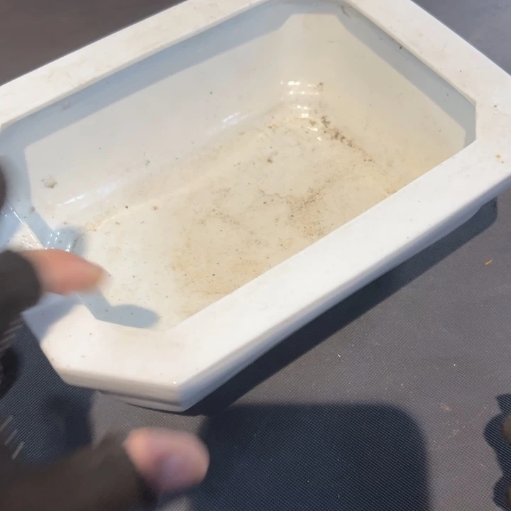 嘿***ヤ瓷片拾六家的瓷器瓷器