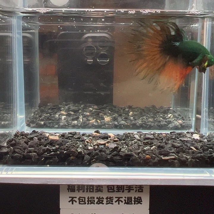 斗鱼满30包邮11日148