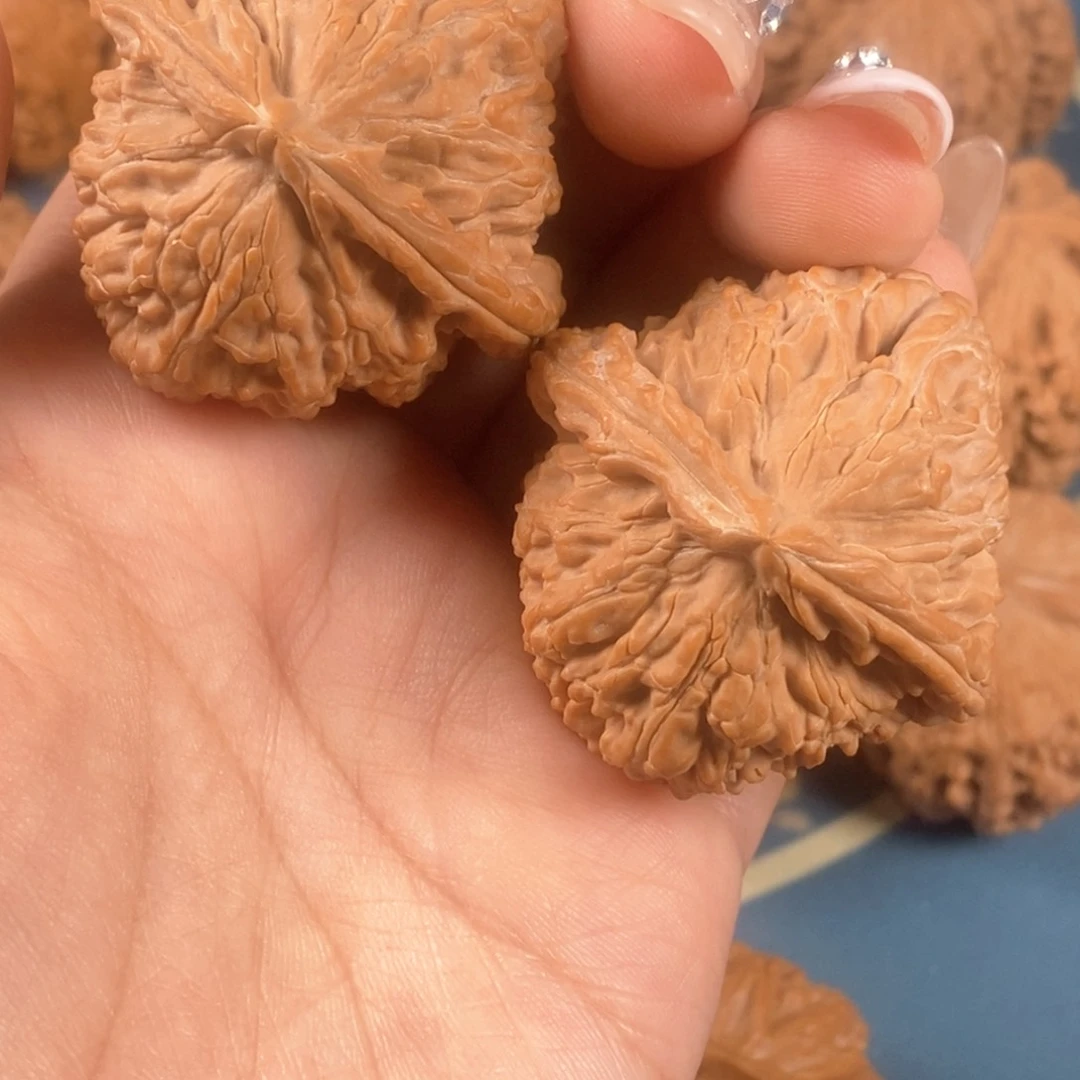 核桃文玩核桃白狮子