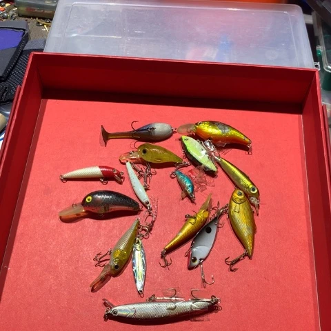 路亚饵开始啦哈哈