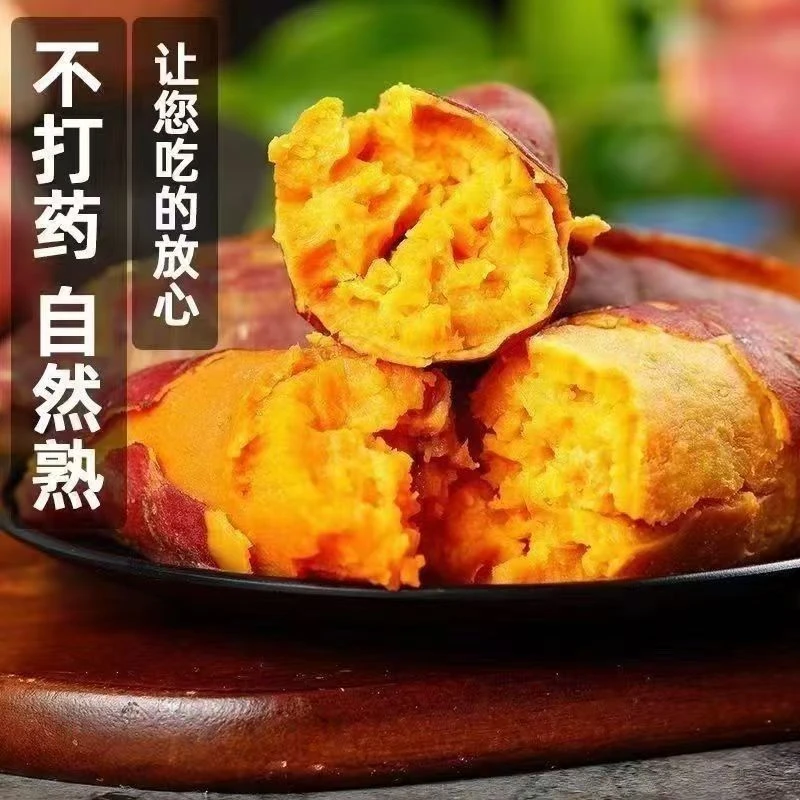 【买3斤送2斤】红薯新鲜沙地蜜薯板栗红薯地瓜香薯饱满皮薄现挖H