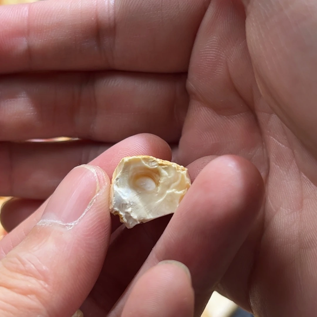 鸣***雨定制琥珀未镶嵌蜜蜡