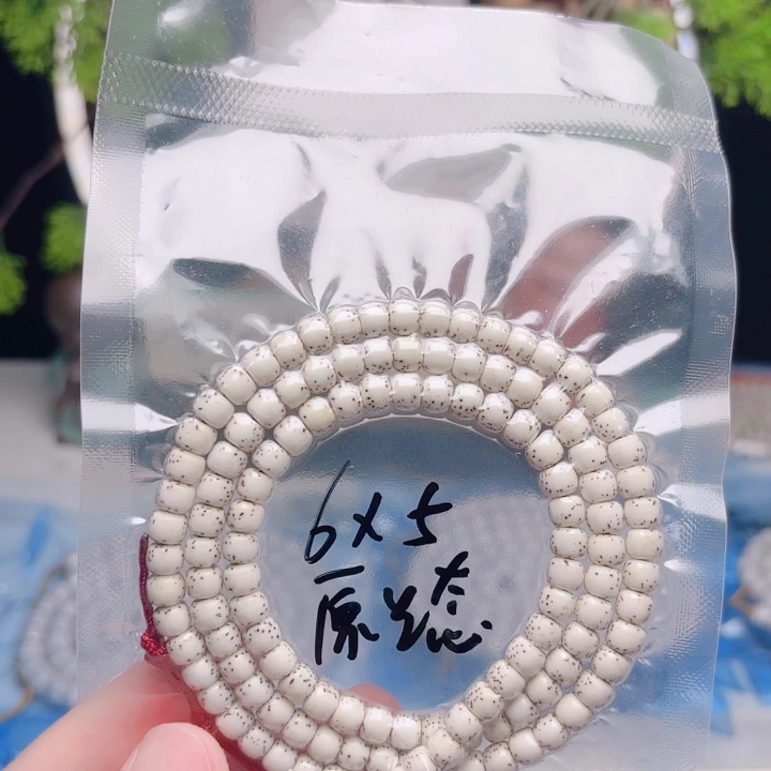 今***天星月菩提把件星月