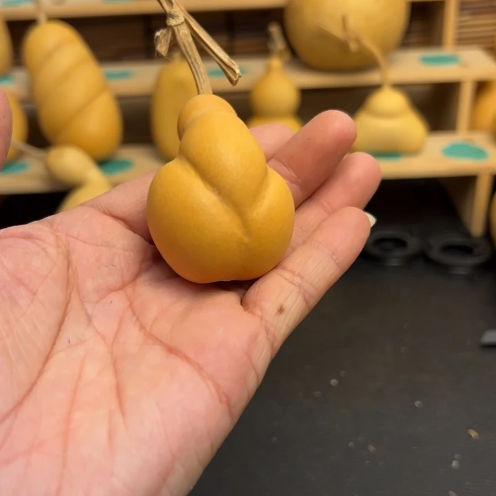 协****生葫芦葫芦葫芦葫芦葫芦