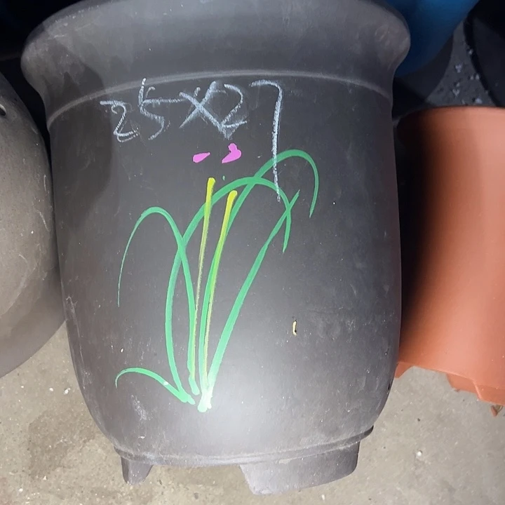 董事长说着说着实在是