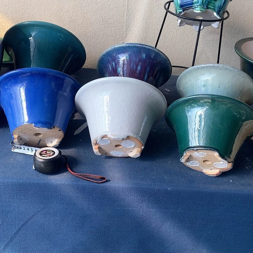 盆景22x13包邮到家