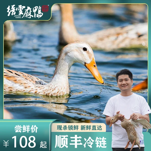 缙雲麻鸭正宗地标缙云老麻鸭1000g生态散养土鸭老麻鸭顺丰包邮